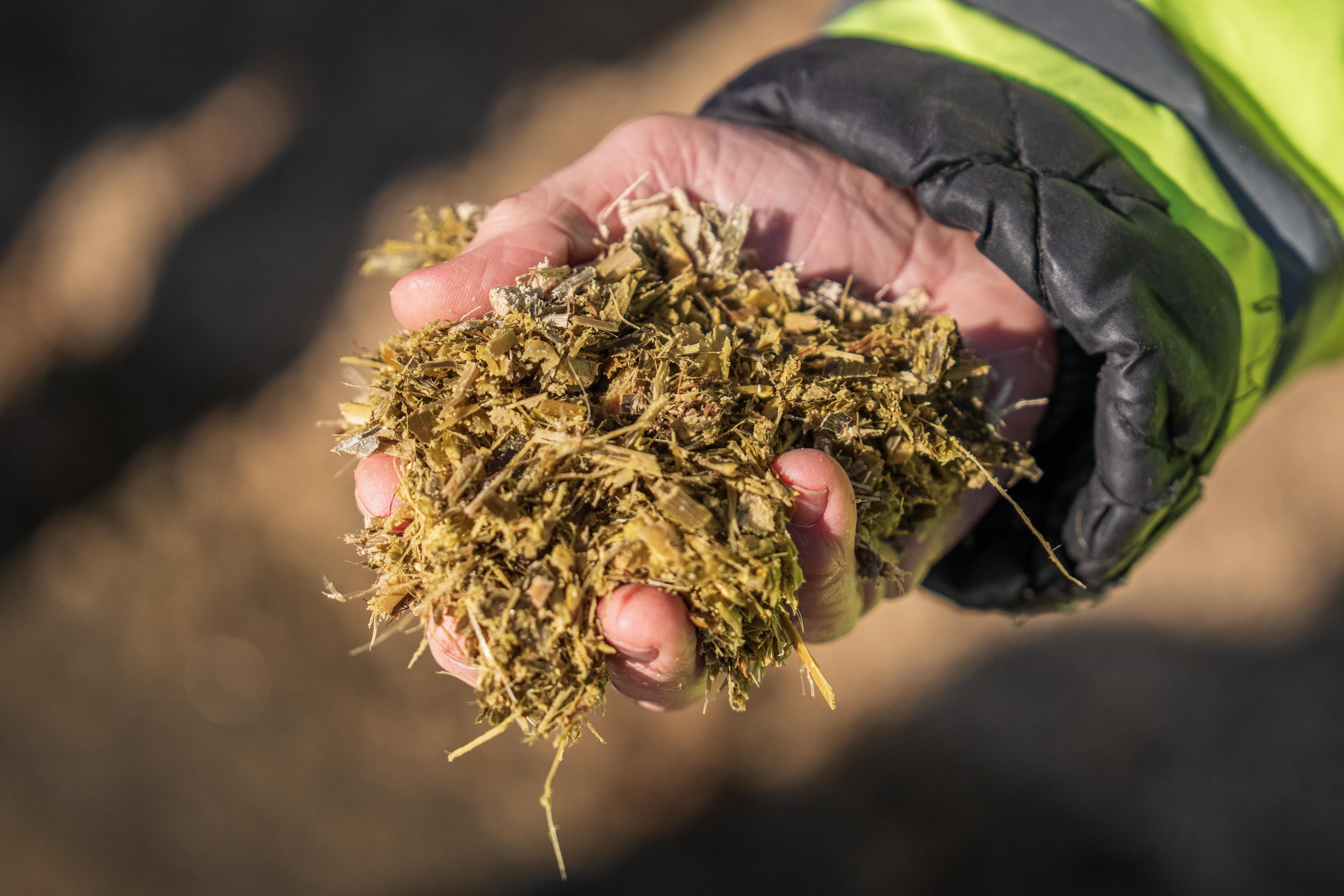 Hand holding chopped organic matter for compost and soil health