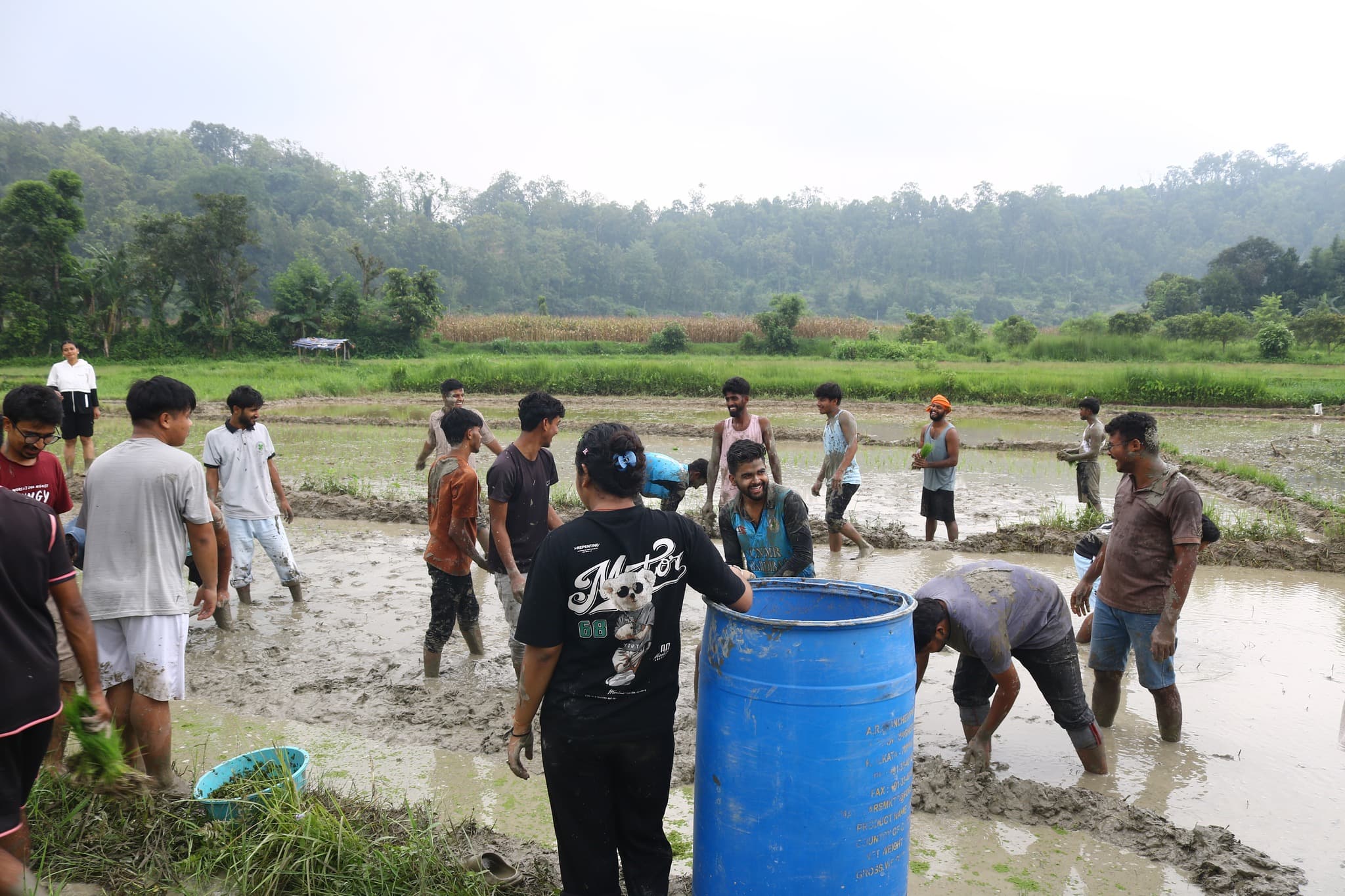 Learners planting rice together in a wet field at Chhahari Farm