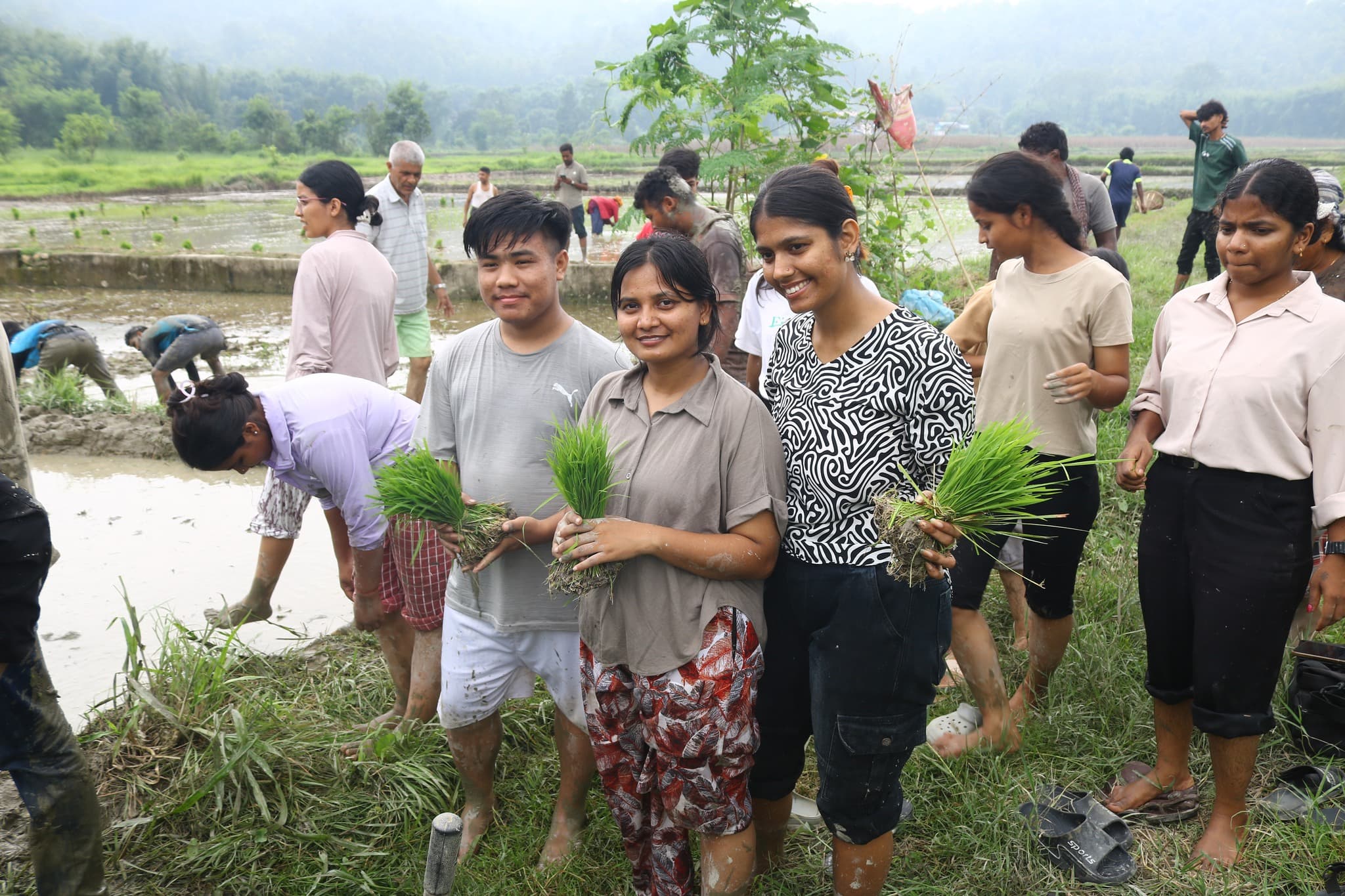 Outdoor farm learning used to represent pond-edge learning