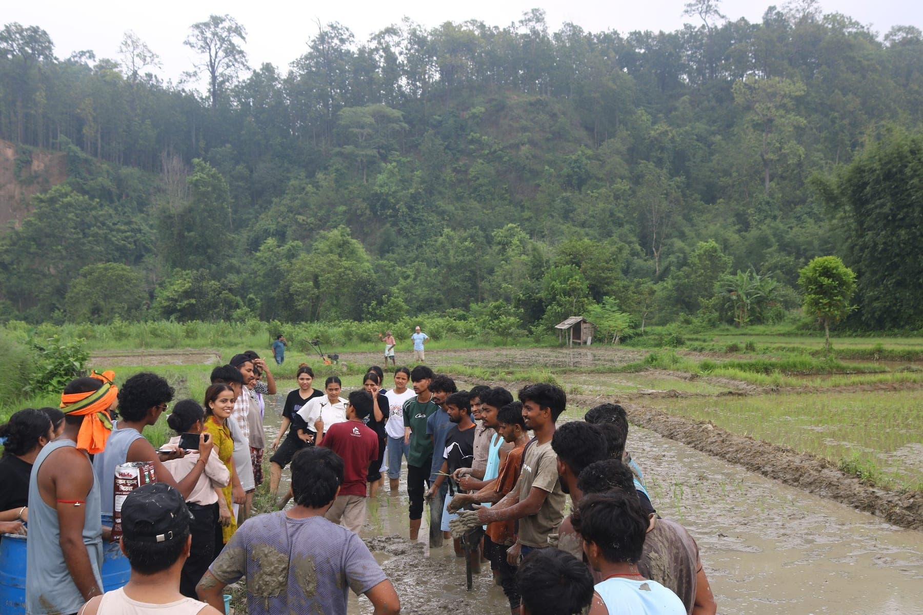 People learning together in a farm field